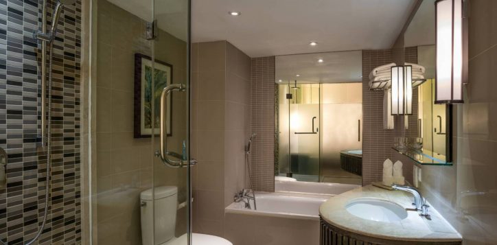 twin-deluxe-plus-seaview-bathroom-v2-1-2-2